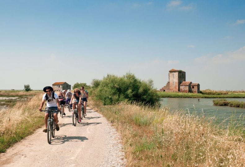 da medicina bologna a san luca in bicicletta